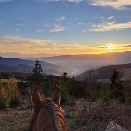 Erlebnisbauernhof Gutschi Ranch Lägenhet Kamp Exteriör bild