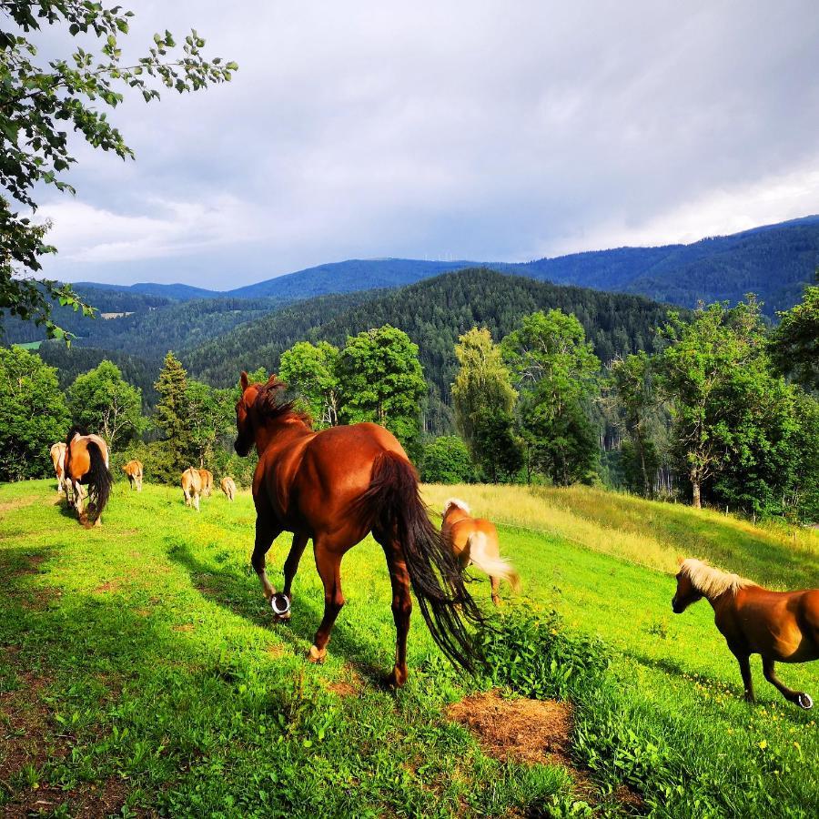 Erlebnisbauernhof Gutschi Ranch Kamp Exteriör bild