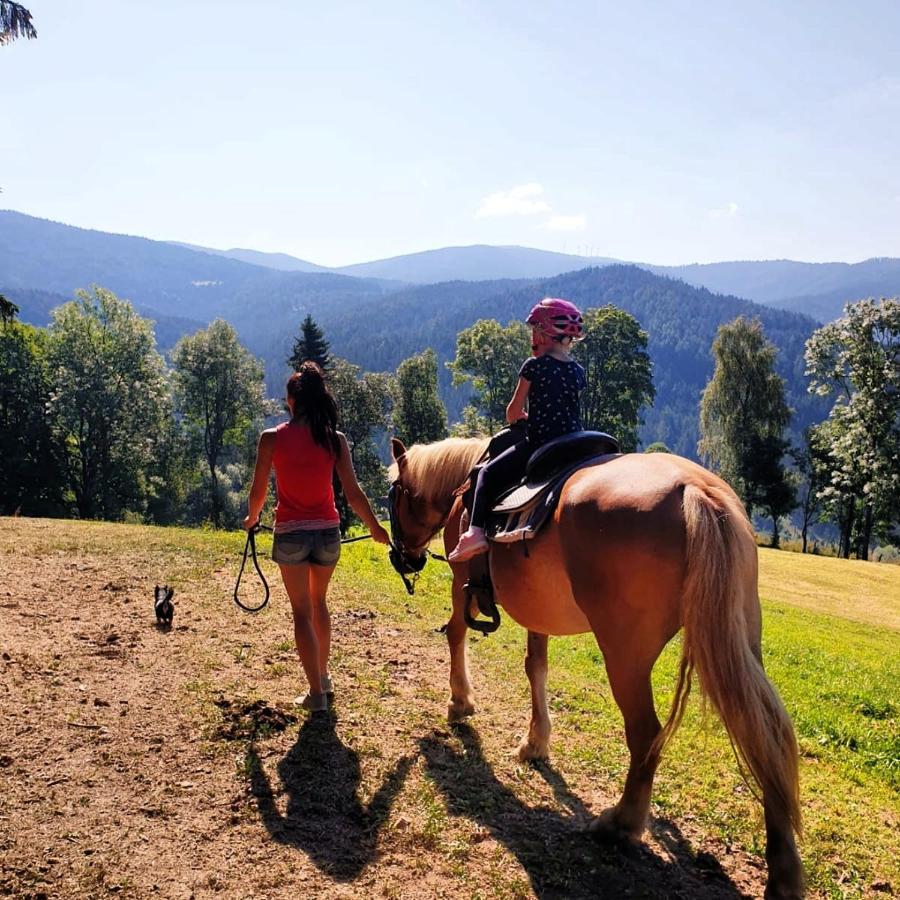 Erlebnisbauernhof Gutschi Ranch Kamp Exteriör bild