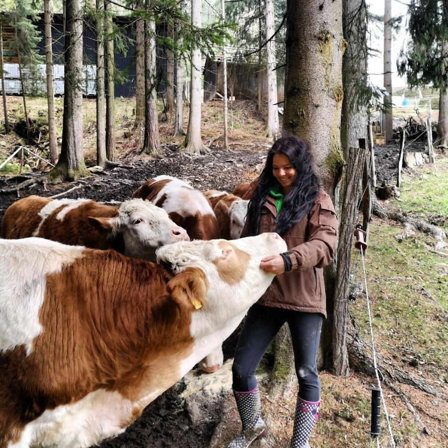 Erlebnisbauernhof Gutschi Ranch Kamp Exteriör bild