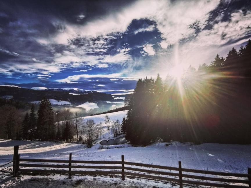 Erlebnisbauernhof Gutschi Ranch Kamp Exteriör bild