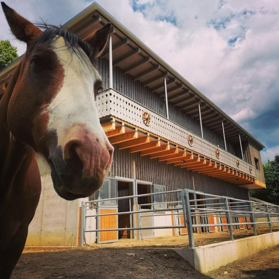 Erlebnisbauernhof Gutschi Ranch Lägenhet Kamp Exteriör bild