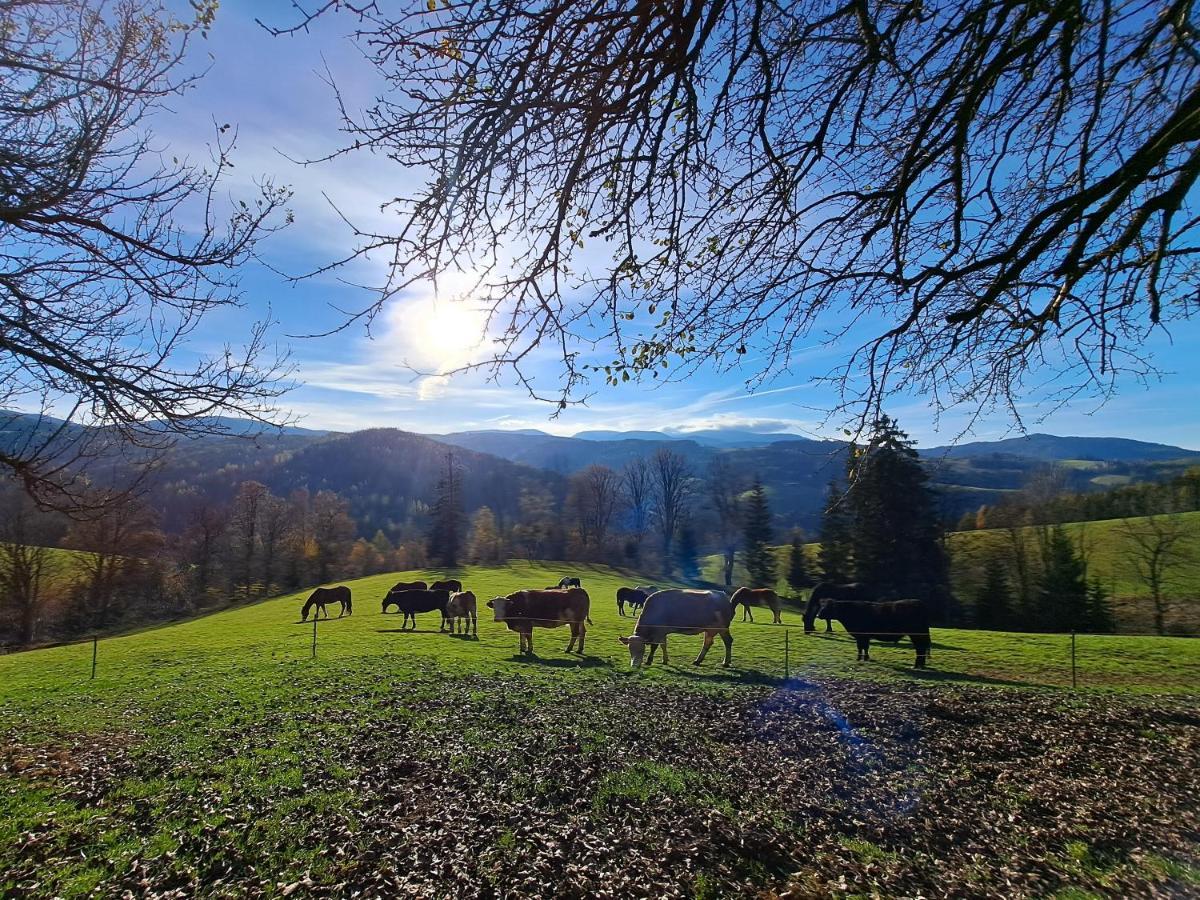 Erlebnisbauernhof Gutschi Ranch Lägenhet Kamp Exteriör bild