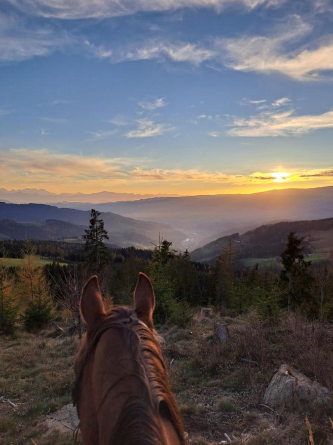 Erlebnisbauernhof Gutschi Ranch Kamp Exteriör bild