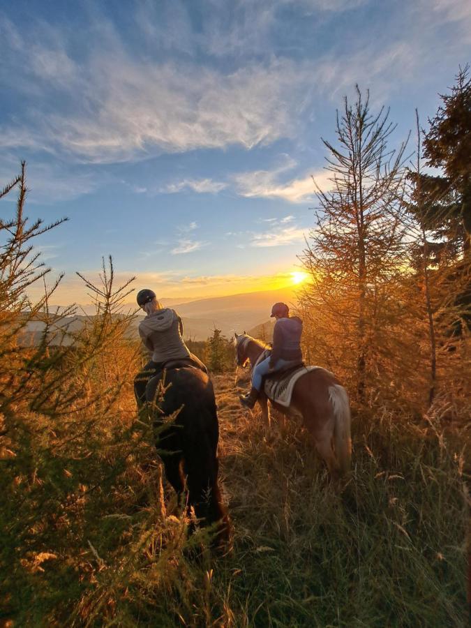 Erlebnisbauernhof Gutschi Ranch Lägenhet Kamp Exteriör bild