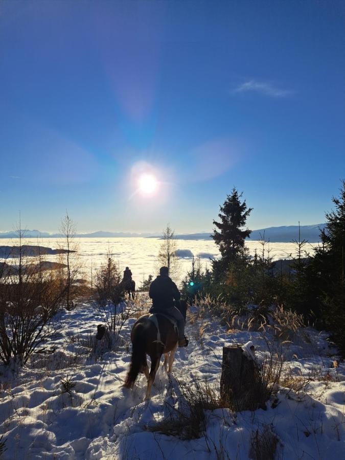 Erlebnisbauernhof Gutschi Ranch Kamp Exteriör bild