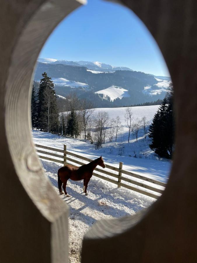 Erlebnisbauernhof Gutschi Ranch Lägenhet Kamp Exteriör bild