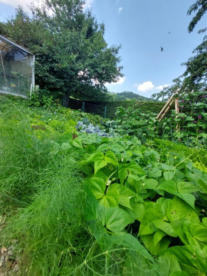 Erlebnisbauernhof Gutschi Ranch Kamp Exteriör bild