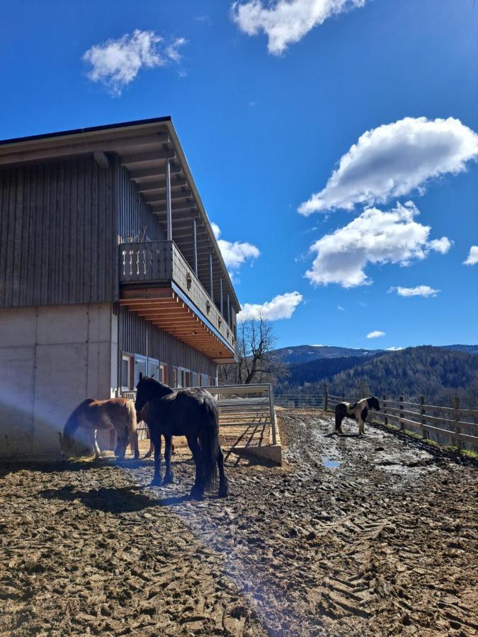 Erlebnisbauernhof Gutschi Ranch Lägenhet Kamp Exteriör bild