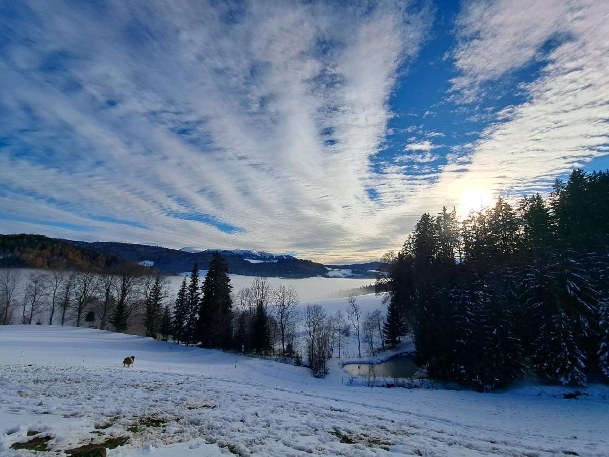 Erlebnisbauernhof Gutschi Ranch Kamp Exteriör bild