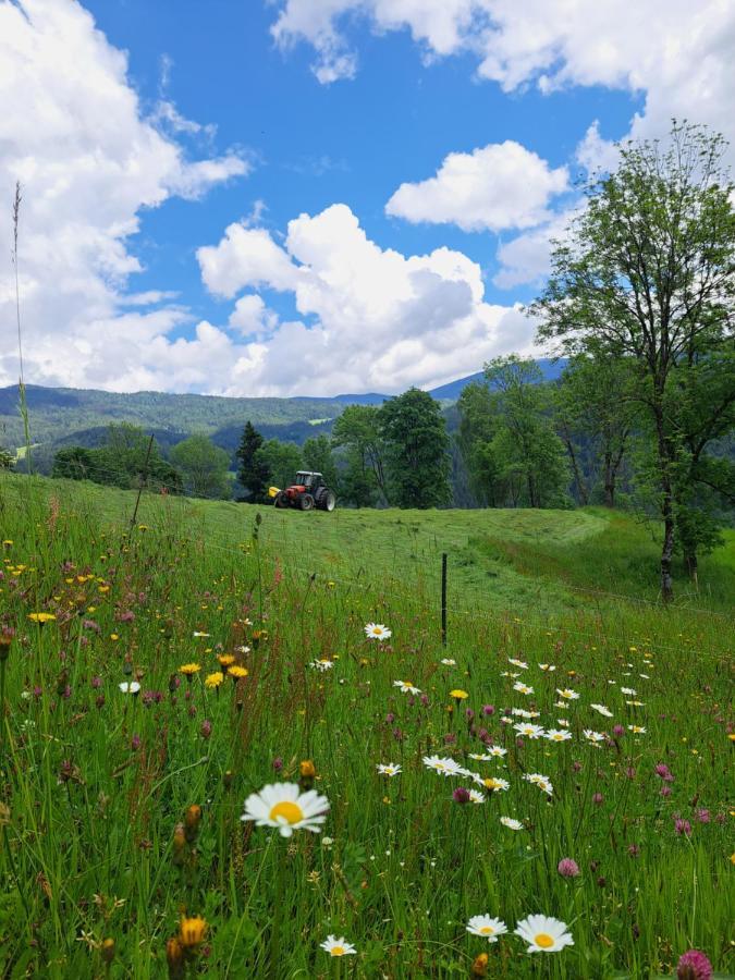 Erlebnisbauernhof Gutschi Ranch Lägenhet Kamp Exteriör bild