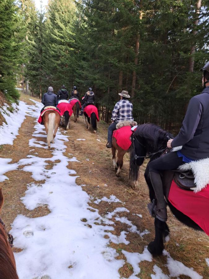 Erlebnisbauernhof Gutschi Ranch Kamp Exteriör bild