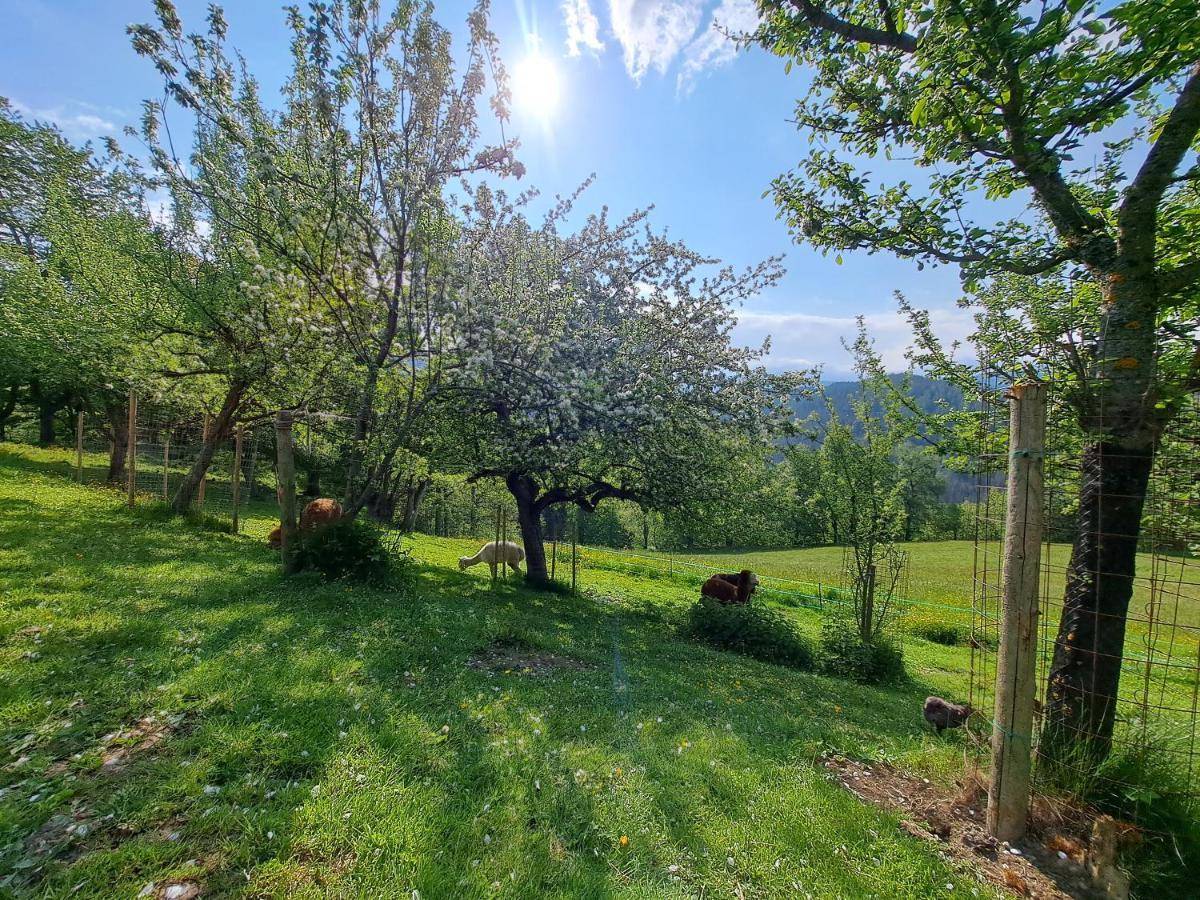 Erlebnisbauernhof Gutschi Ranch Kamp Exteriör bild