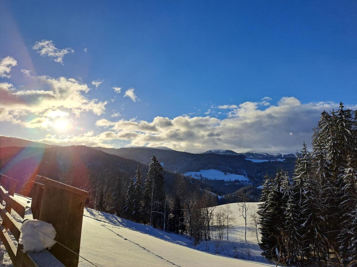 Erlebnisbauernhof Gutschi Ranch Kamp Exteriör bild
