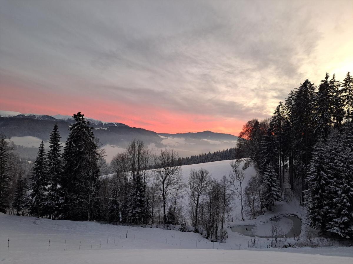 Erlebnisbauernhof Gutschi Ranch Kamp Exteriör bild