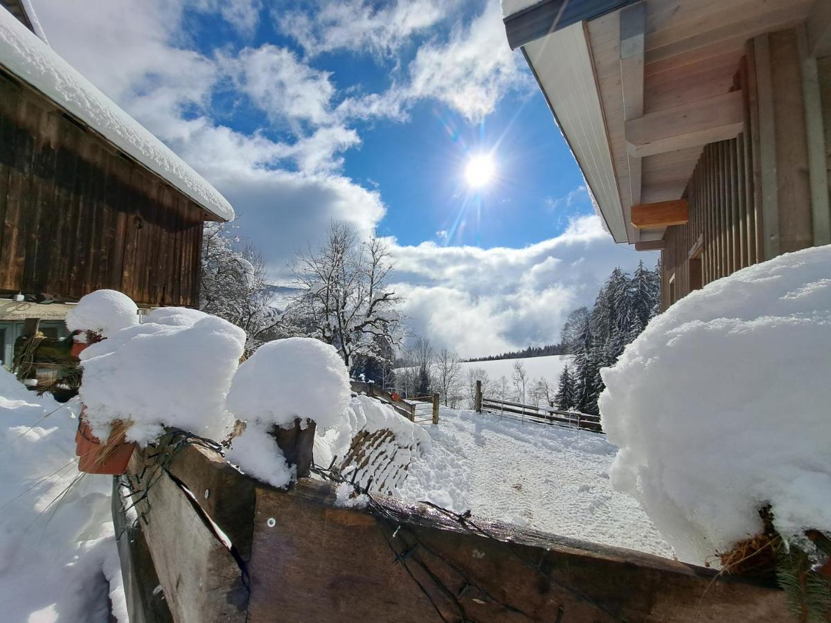 Erlebnisbauernhof Gutschi Ranch Lägenhet Kamp Exteriör bild